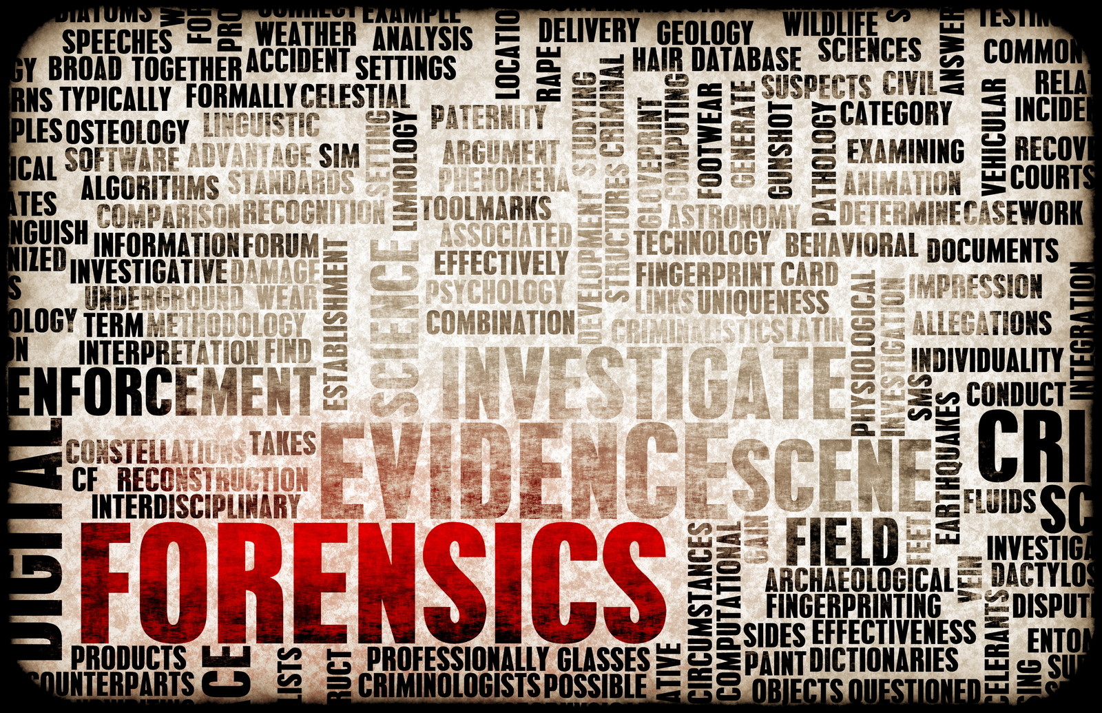 17 Digital Forensics DF100B